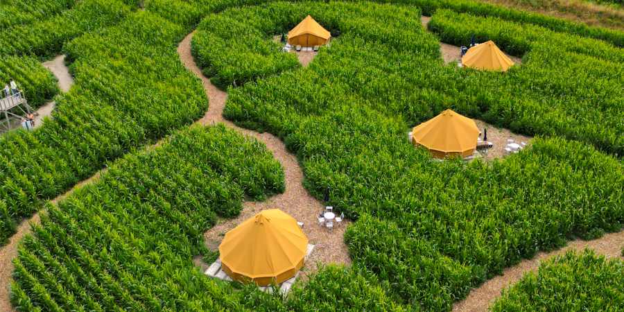 Tips4Trips Bruges Ommeland Maisterplan Glamping